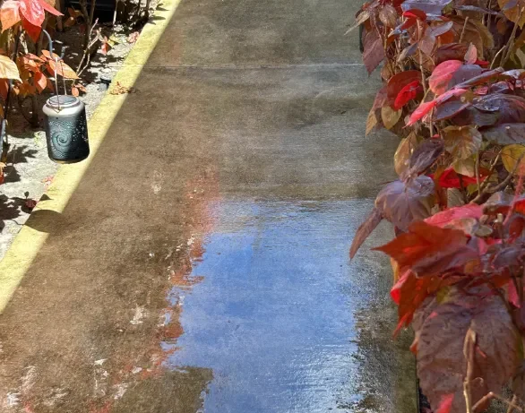 before-walkway-586x782